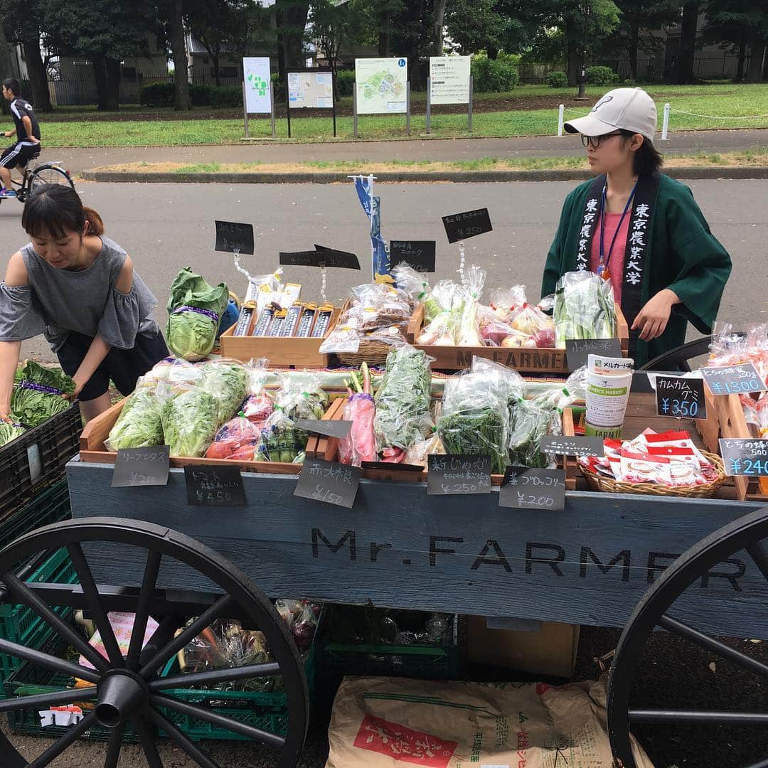加藤紀子さんのインスタグラム写真 - (加藤紀子Instagram)「本日、駒沢公園西口『Mr.FAMER』さん前にて、畑師匠の小坂農園さんが15時まで新鮮お野菜販売してます！ 私も地味にお手伝い中（いるだけ）🥕 お近くの方是非に〜！」5月27日 11時15分 - katonoriko