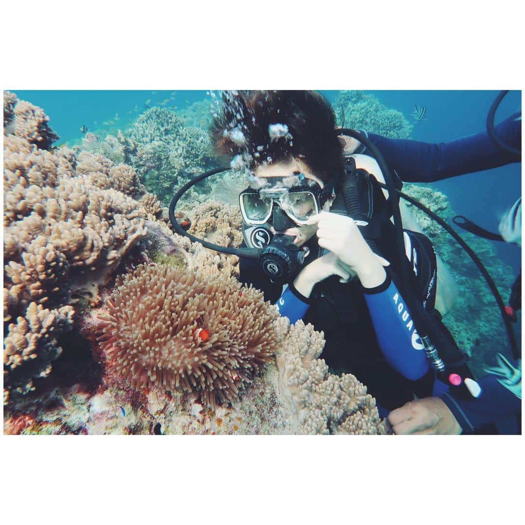 ラブリさんのインスタグラム写真 - (ラブリInstagram)「・ イルカ見て海亀見たあとは ダイビングで海の奥底へ 海の中は本当に静寂の世界 人間とは全く関係ない場所に 行ける感覚がだいすき 今年はライセンス取得しようかな🐠 #bohol #itsmorefuninthephilippines #tsunaguPhilippinesproject  #tourismphilippines」5月28日 8時17分 - loveli_official