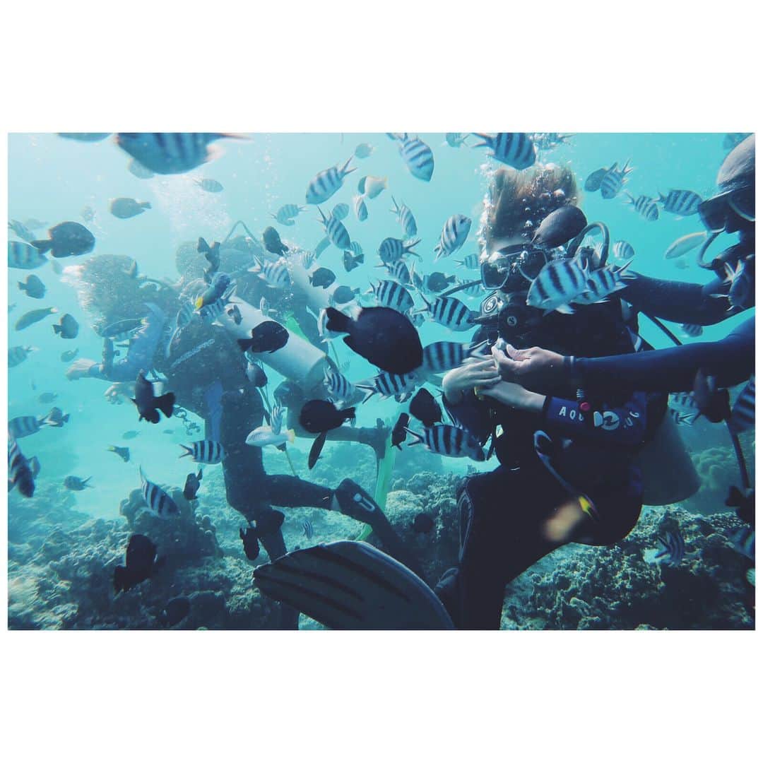 ラブリさんのインスタグラム写真 - (ラブリInstagram)「・ イルカ見て海亀見たあとは ダイビングで海の奥底へ 海の中は本当に静寂の世界 人間とは全く関係ない場所に 行ける感覚がだいすき 今年はライセンス取得しようかな🐠 #bohol #itsmorefuninthephilippines #tsunaguPhilippinesproject  #tourismphilippines」5月28日 8時17分 - loveli_official