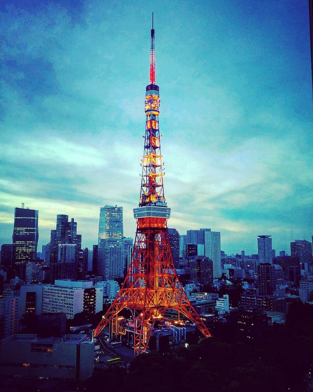 Lu Lanotteのインスタグラム：「東京  #Tokyo #Japan #FOI2017 #eiffeltower #jk #nofilter #jkagain #tourist #sky」
