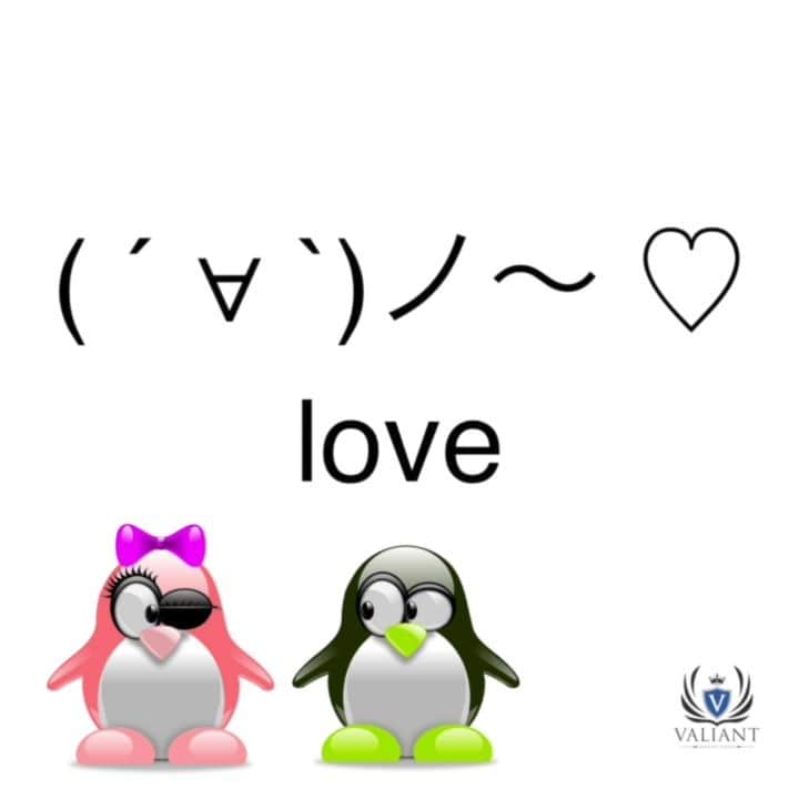 Valiant Language Schoolのインスタグラム