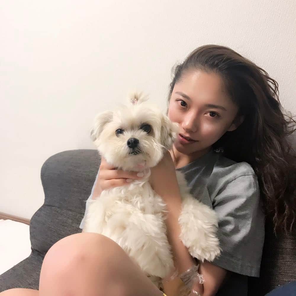 のインスタグラム：「コロさん❤️ #長男 #コロン #愛犬」