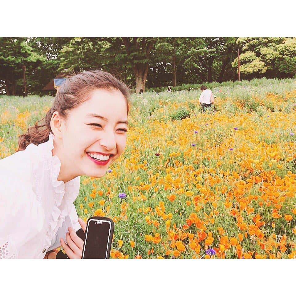 新木優子のインスタグラム