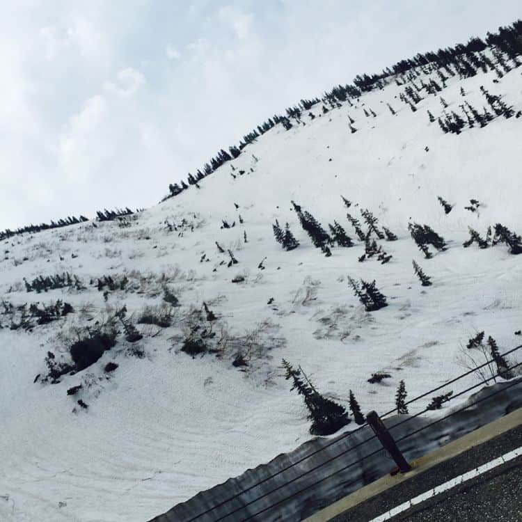 竹山佳林さんのインスタグラム写真 - (竹山佳林Instagram)「午前中は立山へ🏔 一面真っ白！綺麗な景色見てリフレッシュ☺️ しっかり雷鳥も見つけてきました📷 #立山黒部アルペンルート #室堂山 #雪山 #意外と暑かった #景色が最高 #きれい #雷鳥 #見つけたよ #ラッキー」5月31日 19時18分 - karin.takeyama