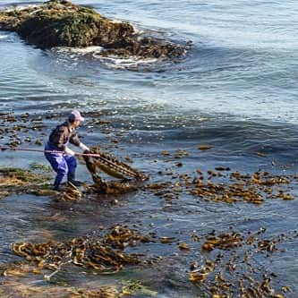 北海道様似町東京事務所のインスタグラム