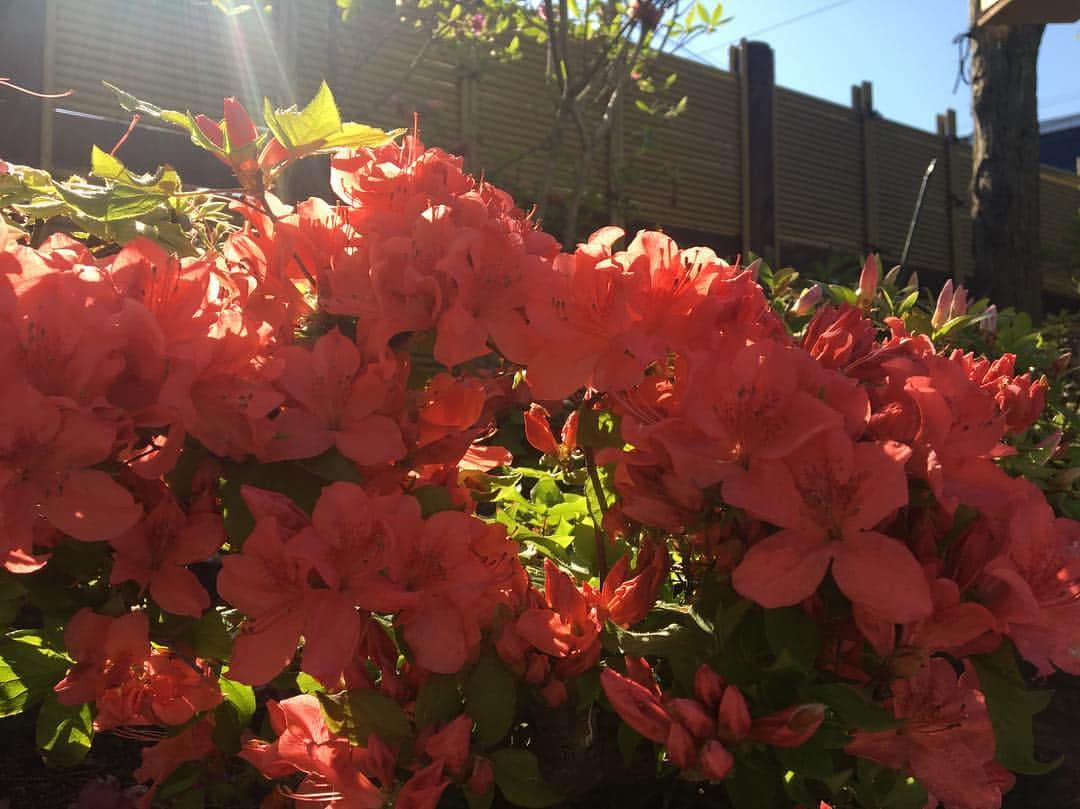 のインスタグラム：「焦らない、勉強サボらない、やるべきことを好きになる、6月にしよう✌️🌝#あと不摂生やめる 今月も頑張りましょ💕」