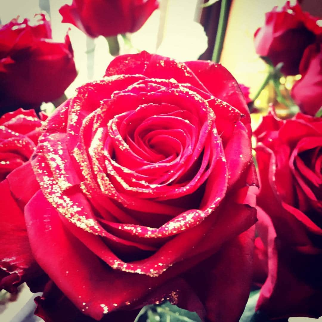 松井珠理奈さんのインスタグラム写真 - (松井珠理奈Instagram)「Red Rose🌹💕 #生誕祭 #薔薇 #バラ #rose #redrose #花言葉 #愛情 #love #情熱 #passion #美 #beauty」6月1日 16時57分 - jurinamatsui3