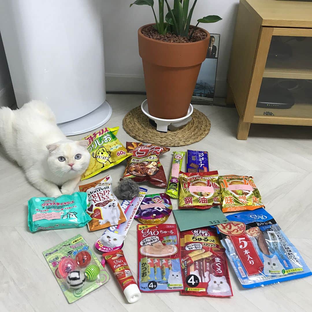 SoonMooのインスタグラム