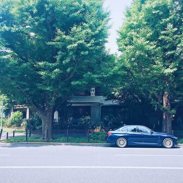 BMW Japanさんのインスタグラム写真 - (BMW JapanInstagram)「並木道とテラスが素敵なロイヤルガーデンカフェ青山で仕事の打ち合わせ。初夏のグリーンの中に佇む都会的なブルー。  https://with.bmw-japan.jp/  #BMW #BMWJapan #駆けぬける歓び #BMW318i #318i #BMW3Series #BMW3 #F30 #セダン #ドライブ #気持ち良い #うれしい #青山 #神宮外苑 #外苑前 #銀杏並木 #カフェ #初夏 #季節 #晴れ #太陽 #グリーン #ブルー #ぶらり #お出かけ #ライフスタイル #暮らし #BMWWorld #BMWPost #BMWgram」6月29日 20時00分 - bmwjapan
