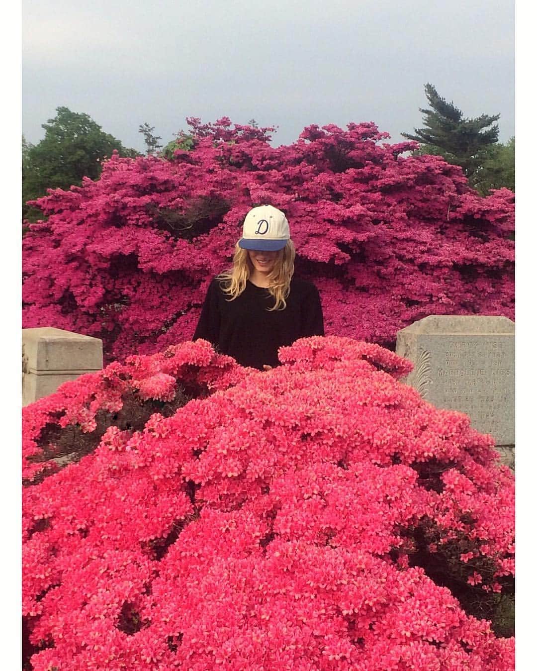 リリー・ドナルドソンのインスタグラム