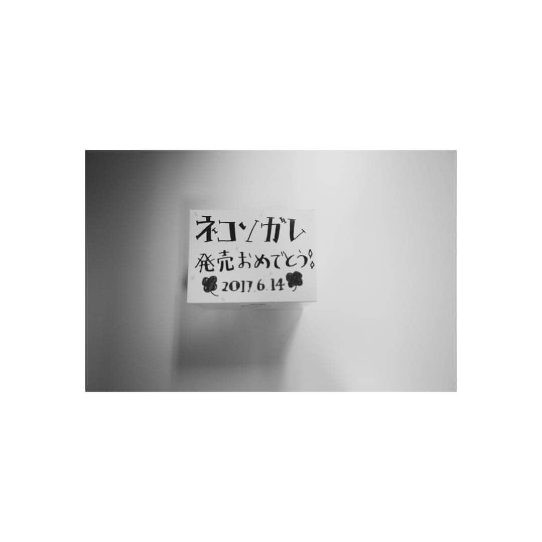 芳根京子さんのインスタグラム写真 - (芳根京子Instagram)「明日はネコソガレイベント。  みみリコ公開収録です☺︎ 来てくださる方 お気をつけてお越しくださいね❤︎ #ネコソガレ #みみリコ #まめむーまん」6月29日 23時58分 - yoshinekyoko