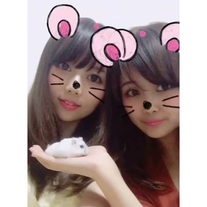 西村季里子のインスタグラム：「・ みーちゃん誕生日おめでと🎂 生まれてきてくれてありがとう😊 #happybirthday #dearfriends #たらみぎゅいんってまわされてる #神様#みーちゃん毎日頑張ってます #ご褒美をあげてください #私にもそのあとでいいのでご褒美を #follow #followme #l4l」