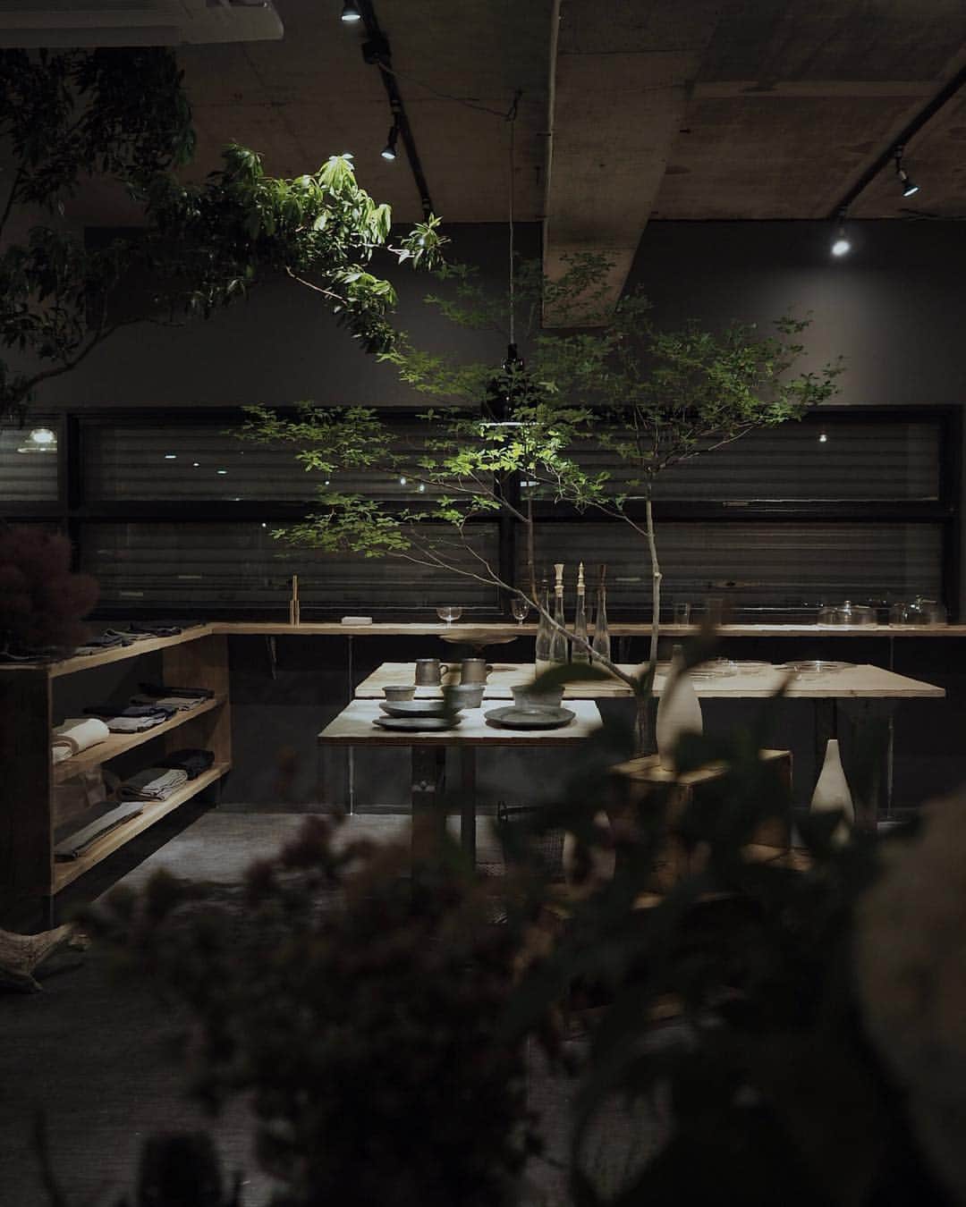 Tomohide Furuyaのグルメインスタ