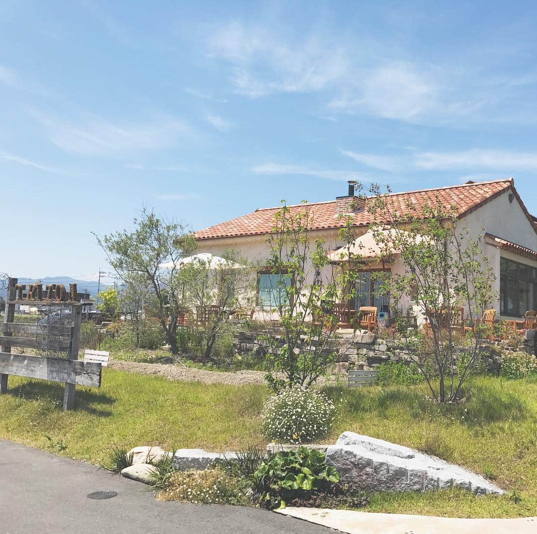 山下耀子のグルメインスタ