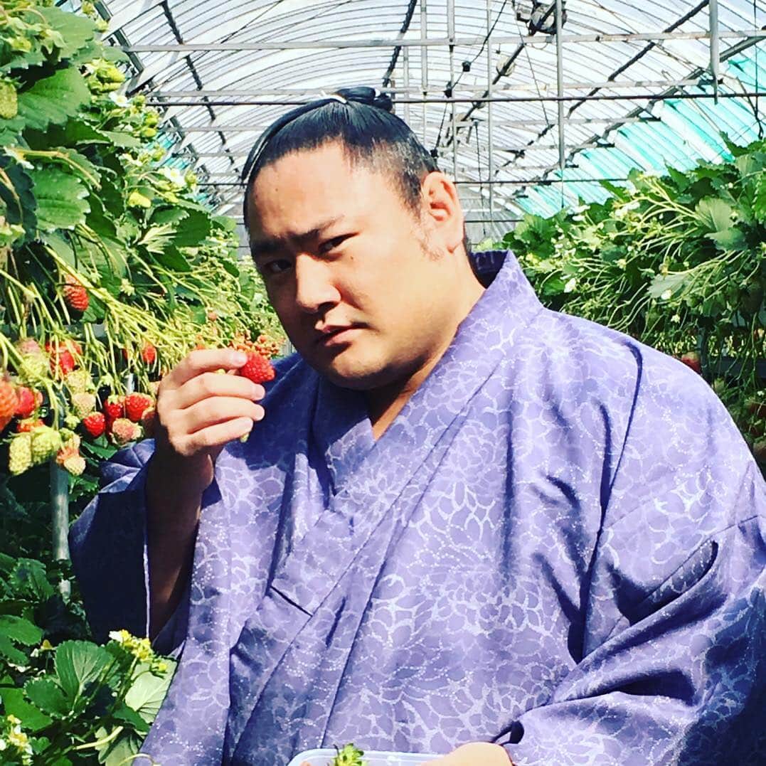 琴恵光充憲さんのインスタグラム (琴恵光充憲kotoeko1120)