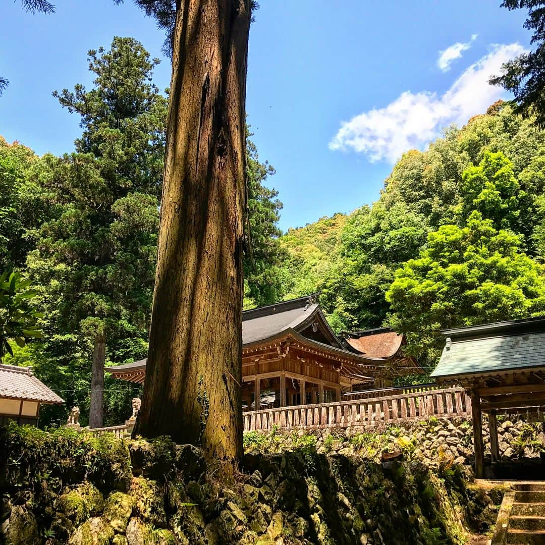 japantripさんのインスタグラム写真 - (japantripInstagram)「木製の狛犬を発見😲 #Komainu hecho de maderas!  #十五社神社  #狛犬  #木製狛犬  #岐阜県 #岐阜県山県市 #神社巡り  #神社 #山県市 #文化遺産 #yamagatacity  #史跡巡り #カメラ女子 #カメラ好きな人と繋がりたい #山県市いいところ #今日は良い天気  #instatrip #japan  #unseenjapan #myunseenjapan #sanctuario #yamagatabase」6月8日 7時11分 - japanculturalheritage