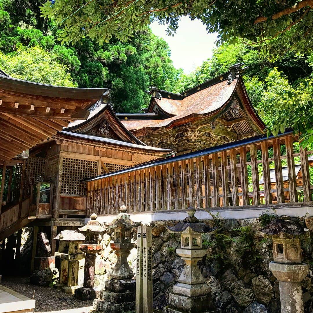 japantripさんのインスタグラム写真 - (japantripInstagram)「木製の狛犬を発見😲 #Komainu hecho de maderas!  #十五社神社  #狛犬  #木製狛犬  #岐阜県 #岐阜県山県市 #神社巡り  #神社 #山県市 #文化遺産 #yamagatacity  #史跡巡り #カメラ女子 #カメラ好きな人と繋がりたい #山県市いいところ #今日は良い天気  #instatrip #japan  #unseenjapan #myunseenjapan #sanctuario #yamagatabase」6月8日 7時11分 - japanculturalheritage