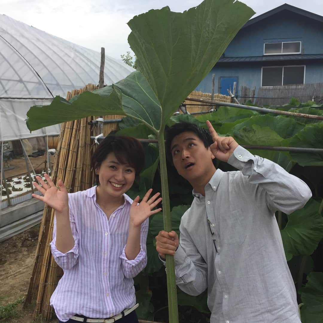 藤井弘輝(ふじいこうき) のインスタグラム