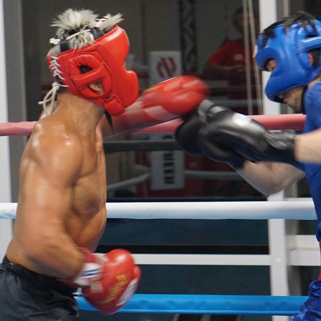 HIROYAのグルメインスタ