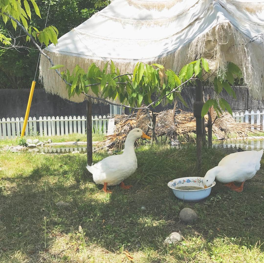 山下耀子のグルメインスタ