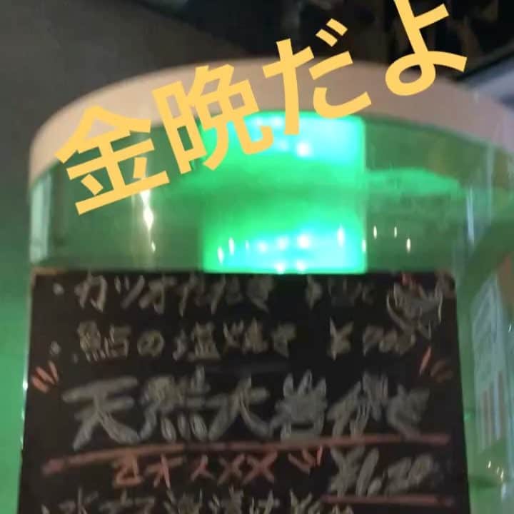 のインスタグラム：「天然岩牡蠣やってます^o^ #すっぽん遊泳なう #チューハイフリージングハイボール#半額#海千山千番長」