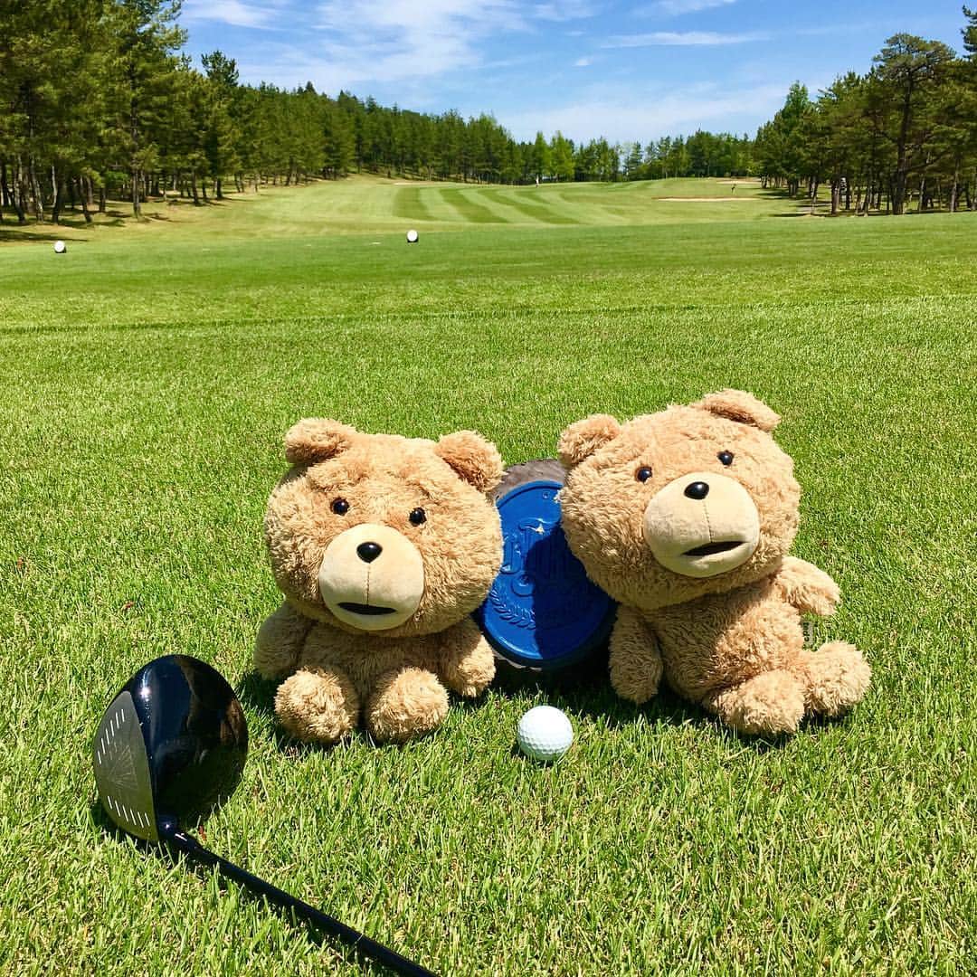 葛岡碧さんのインスタグラム写真 - (葛岡碧Instagram)「GOLF⛳️✨ Ted🐻は、ずっと愛用のドライバーヘッドカバー♪♪ #golf #golf女子 #ヘッドカバー #ted」6月9日 18時57分 - midori_kuzuoka