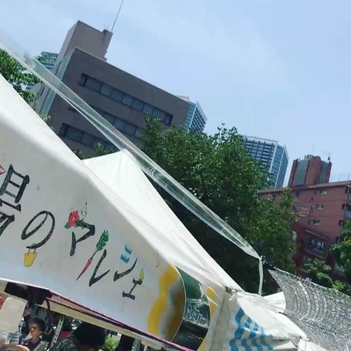 川瀬良子のグルメインスタ