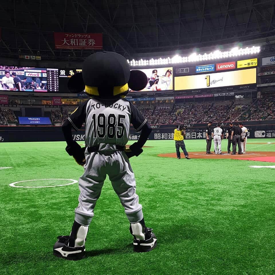 阪神タイガースのグルメインスタ