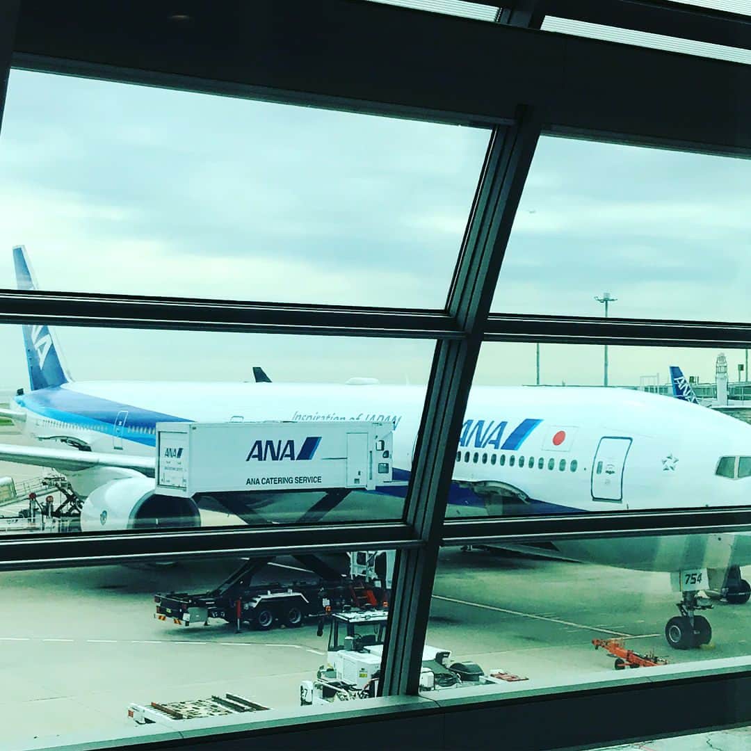 美馬怜子さんのインスタグラム写真 - (美馬怜子Instagram)「うー朝からテンション下がることが😵 スタバのサンドイッチやけ食いしちゃったよ💦笑 早く飛行機乗りたーーい✈️ . #今日は飛行機 #ショートトリップ #でも今はテンション超低い #ana #えーん #嘘でしょ #やけ食いw #スタバサンドイッチ #グルテンフリー生活してた #涙目 #ストレスはダイエットの敵 #shorttrip #hanedaairport #imsosad #so #gotostarbucks」6月11日 9時28分 - mimaryoko