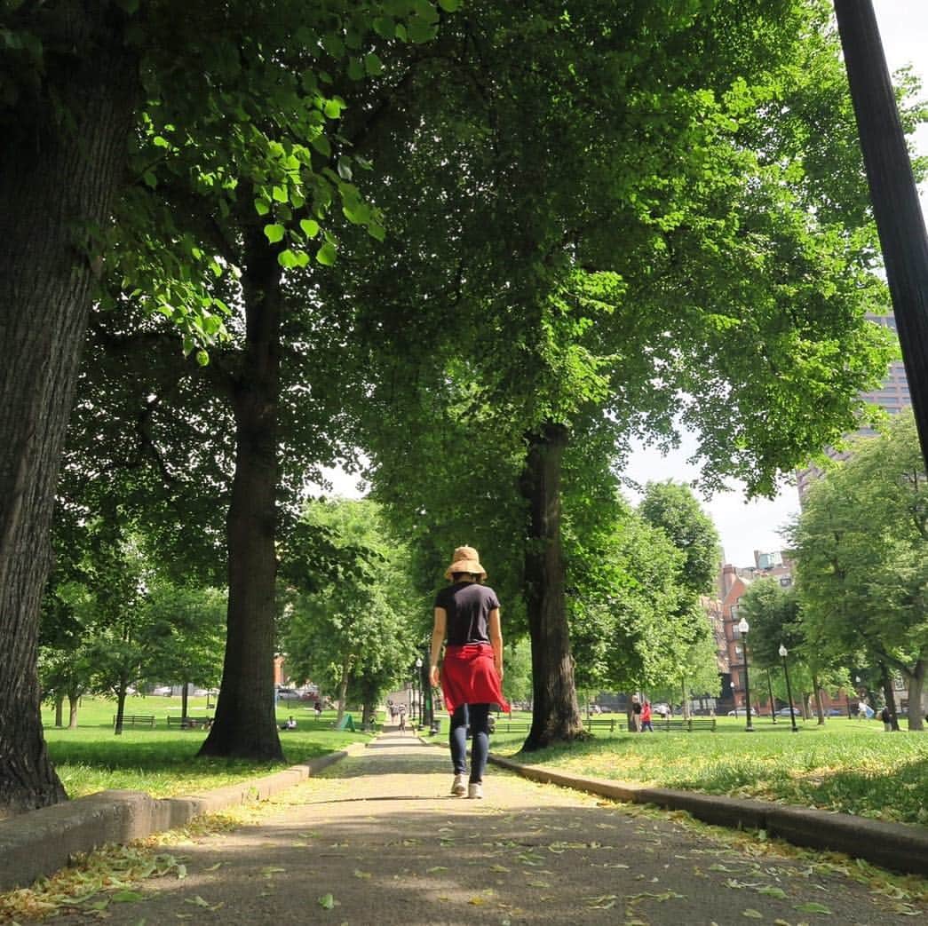 久保田智子のインスタグラム：「#freedomtrail starting in #bostoncommon in #boston」
