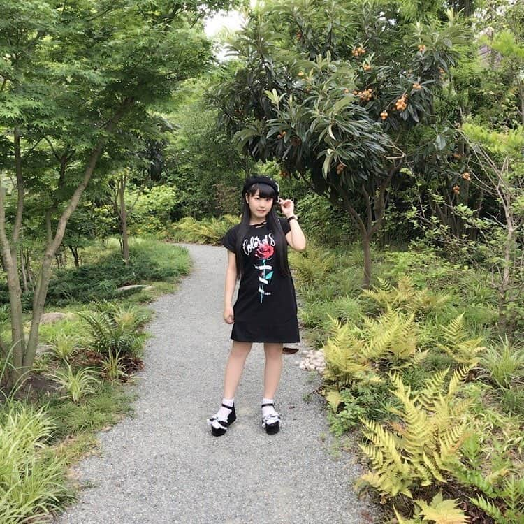 KOTOさんのインスタグラム写真 - (KOTOInstagram)「ジャングル🌳🌲🌴⁉️ いえいえ原宿でつよ😆  今日も１日お疲れ様でちた☺️🙏✨ #japanesegirl  #idol  #harajuku  #いのちの樹林 #とにかく蚊がすごい  #5箇所刺された」6月12日 22時59分 - koccyan925