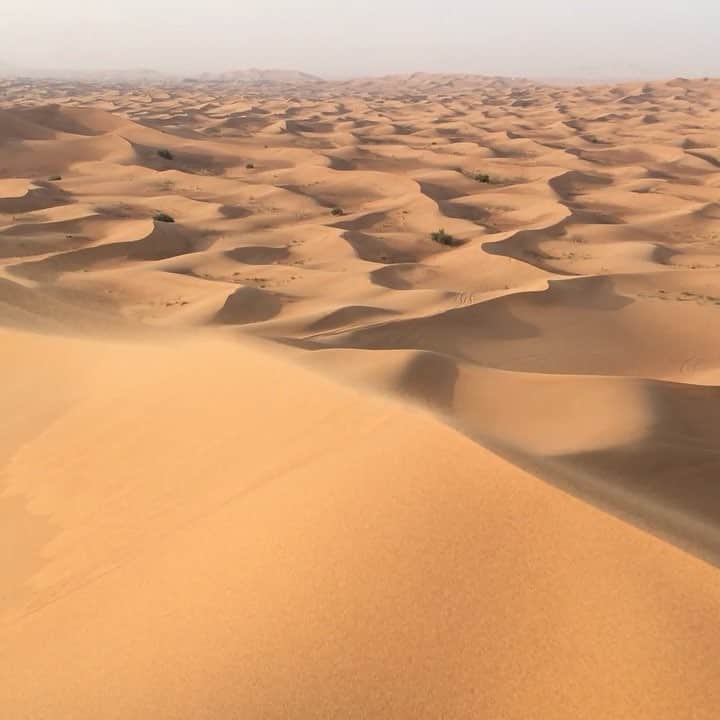 柴田フミコのインスタグラム：「ルブアルハリ砂漠 かすかに砂の音も聞こえるよ #visitdubai #ルブアルハリ砂漠 #dubai #rubalkhali #rubalkhalidesert」