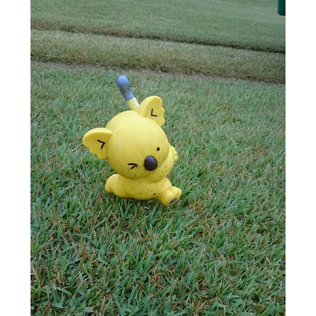 竹末裕美のグルメインスタ