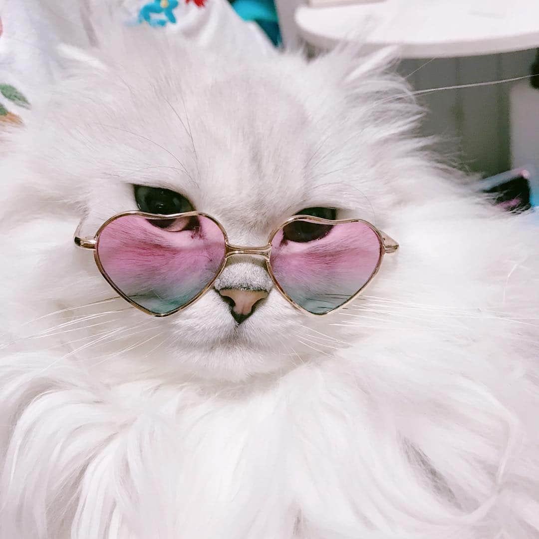 후추네큰언니のインスタグラム