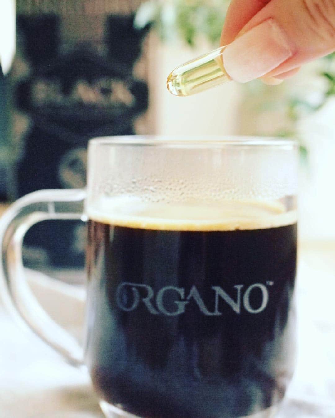 ORGANO JAPANのインスタグラム：「Grape seed oil and Ganoderma. * #grapeseedoil #ganoderma #tastethegold #organogold #organo #coffee」