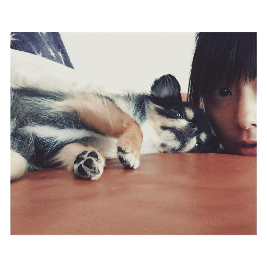 佐藤ありささんのインスタグラム写真 - (佐藤ありさInstagram)「一緒にゴロゴロ〜🐶」6月15日 15時56分 - satoarisa920