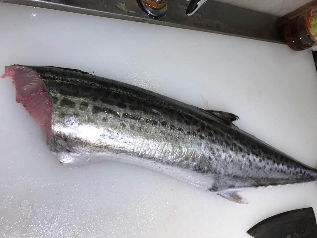 鮨処 然のグルメインスタ