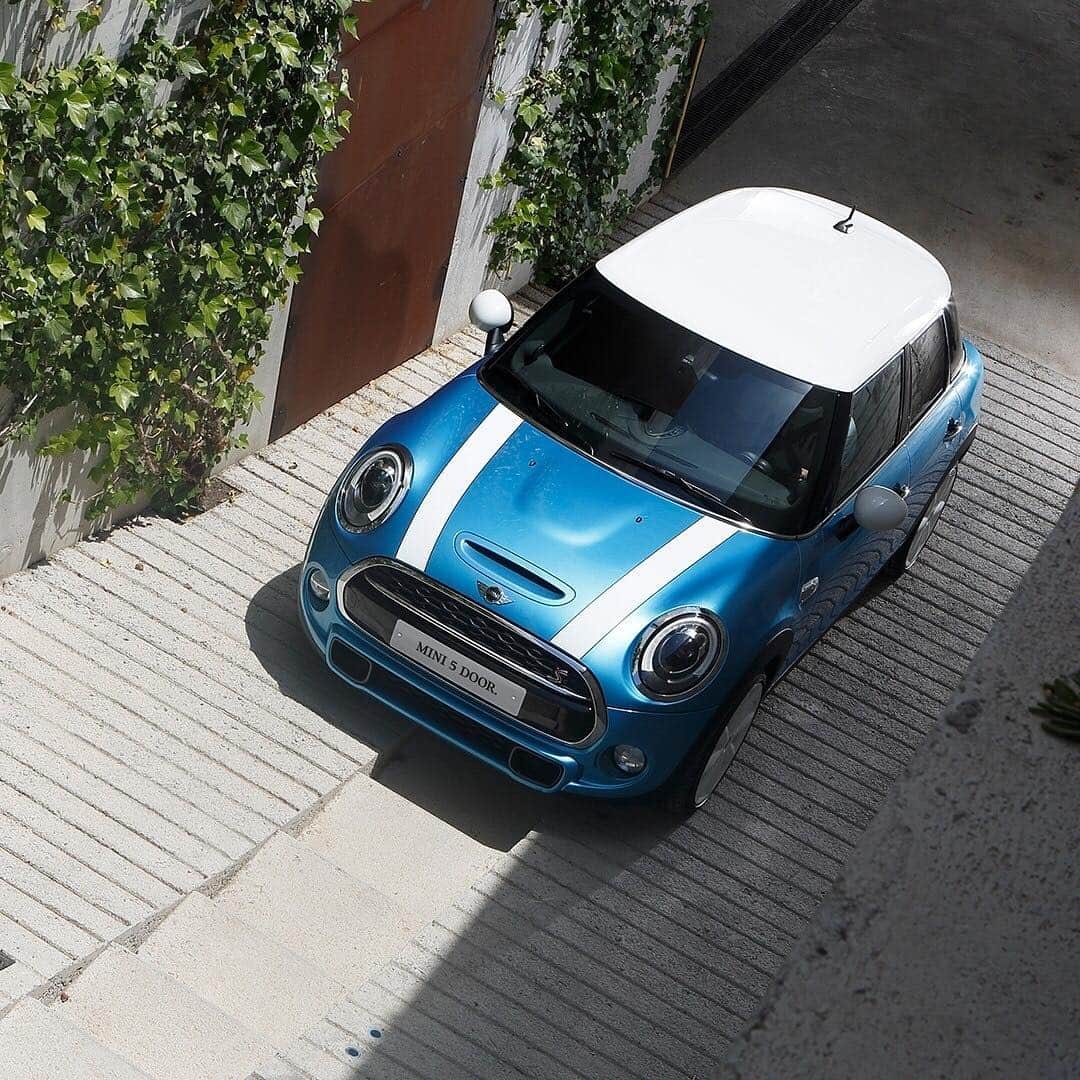 MINI Japanさんのインスタグラム写真 - (MINI JapanInstagram)「街中では小回りの利くハンドリングが威力を発揮。せまい路地も軽快に駆けぬける。#MINI #5door #ミニクーパー #露草」6月15日 21時04分 - mini_japan