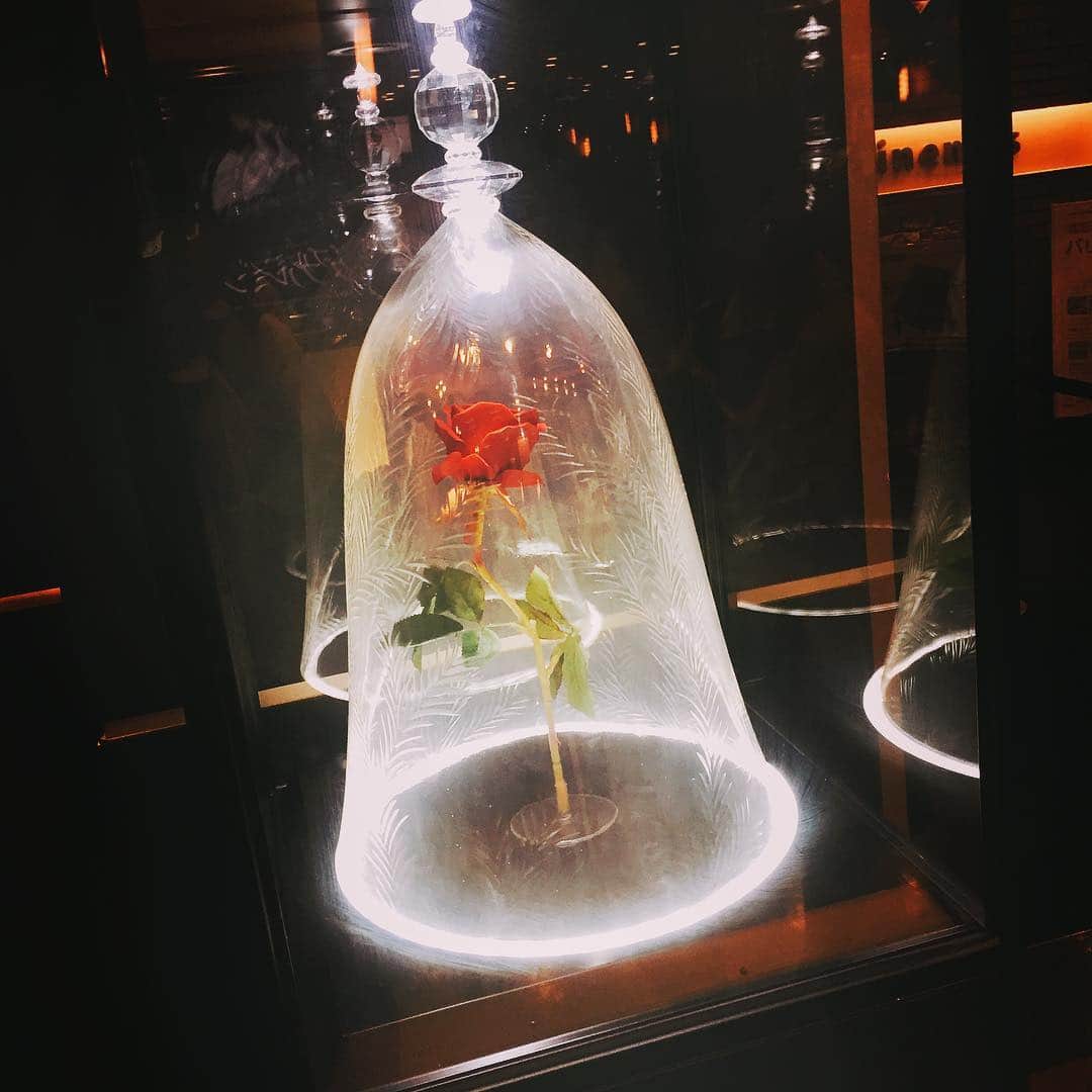 のインスタグラム：「． 美女と野獣🌹 ． エマワトソン歌声が綺麗でとても可愛かった〜 ． 涙が止まりませんでしたロマンティック、、、憧れちゃう」