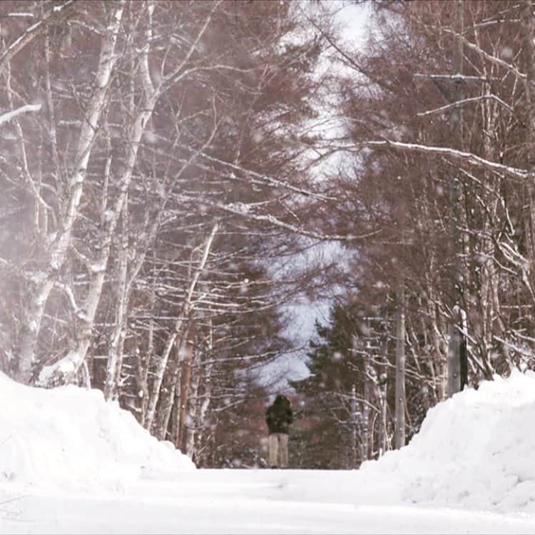 TBS「リバース」のインスタグラム：「あと5分！ あの雪山の全て、そしてリバースの歩んできた全てを、ご覧ください！  #金曜ドラマ #リバース #湊かなえ #藤原竜也 #戸田恵梨香 #玉森裕太 #小池徹平 #三浦貴大 #門脇麦 #市原隼人 #YOU #志賀廣太郎 #片平なぎさ #武田鉄矢 #最終回 #カウントダウン #オリジナルのラスト #始まる」