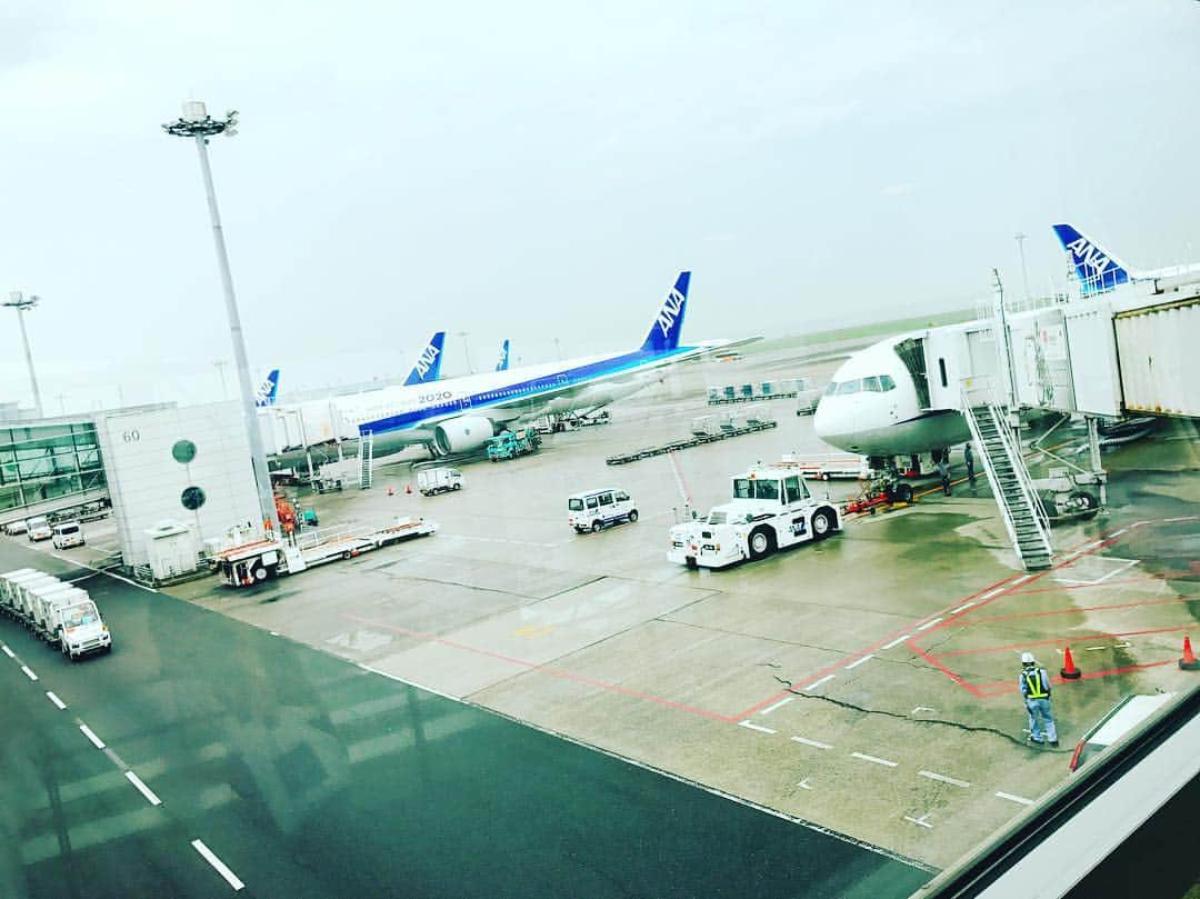 室伏由佳のインスタグラム：「あめやんだ⛅️✈️ #とびますね #快適な空の旅 #✈️ #fly #flight #ijustwannafly」