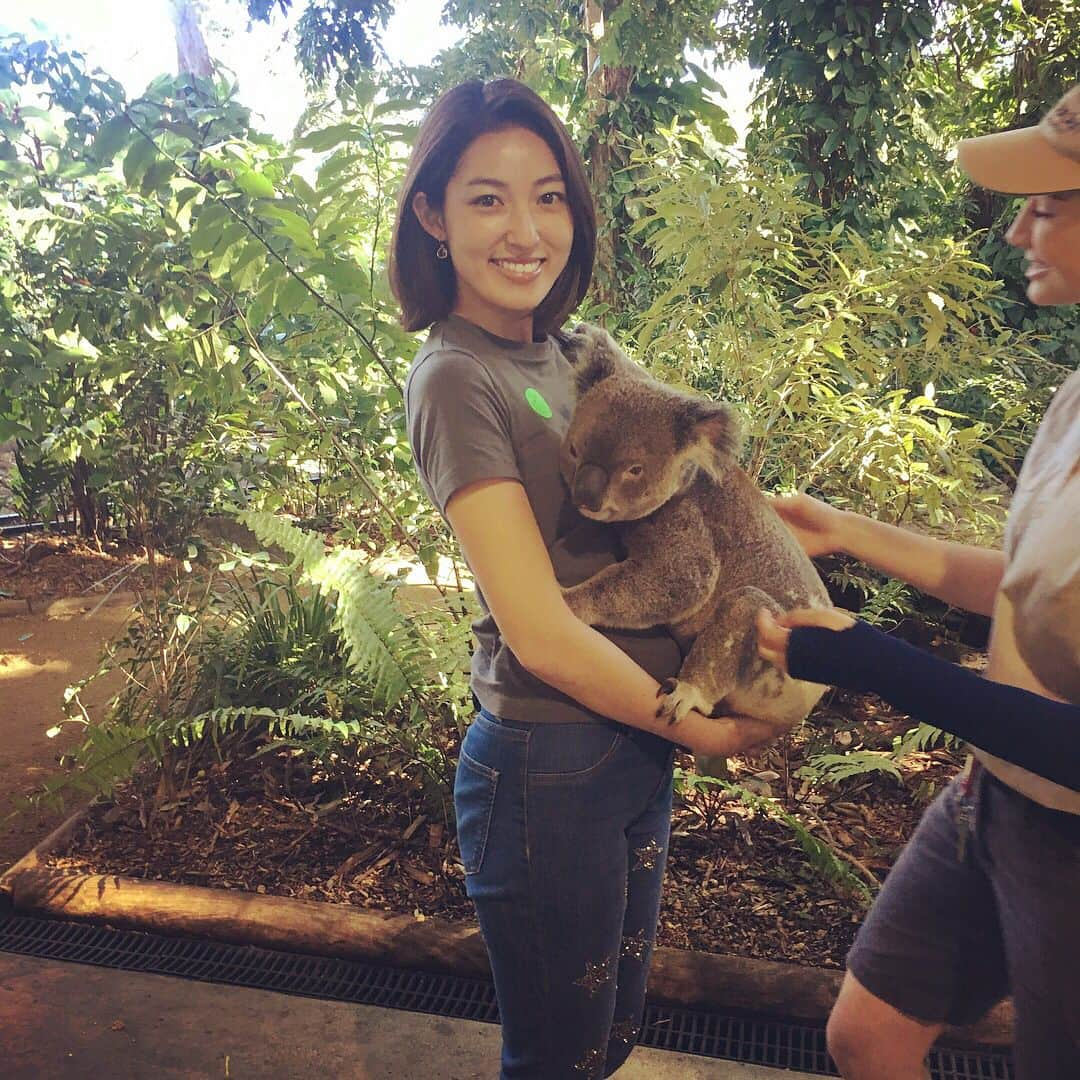 大杉亜依里さんのインスタグラム写真 - (大杉亜依里Instagram)「コアラを抱っこしました🐨❤️🇦🇺 . . 嬉しくて、私はずっと笑ってました😂 . . #コアラ #koala #🐨 #🇦🇺 #australia #goldcoast #goldcoastmarathon #ゴールドコースト #ゴールドコーストマラソン #オーストラリア #HIS #エイチアイエス」7月1日 14時39分 - osugiairi_official