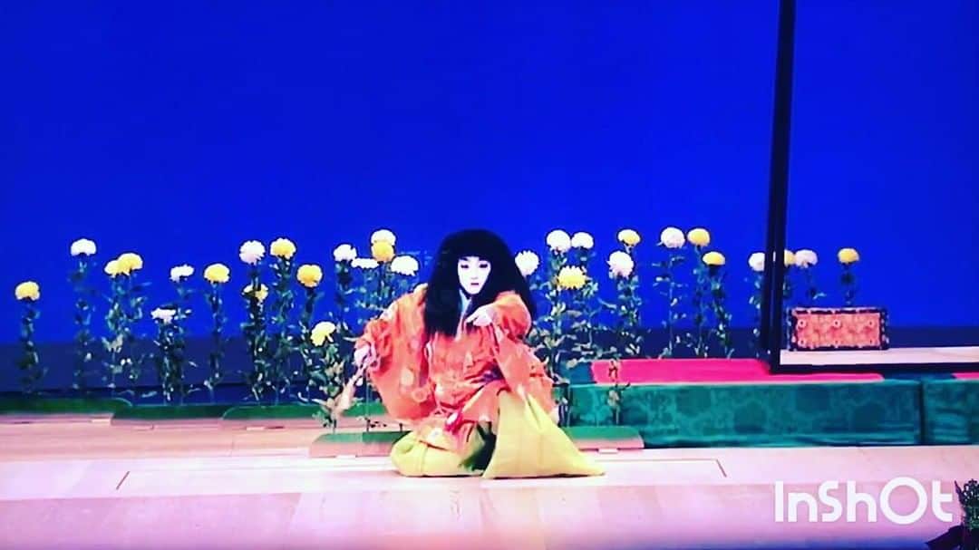 のインスタグラム：「長唄 『菊慈童』 立方:五月千和加 (2015.7)  於:国立劇場 🌿この曲は大好きな作品の一つです。特にここの場面はお囃子も豪華でグッときます✨ . 中国古代、周の時代👍 王に寵愛されていた少年が罪を犯し山奥へ流罪となるが、そこで菊の葉に法華経の句をかくとそこから滴る露が不老不死の薬となり、それを飲み生きる姿を演じる。 700年余り経った精神の老いに反し、見た目の若さ、都を懐かしみ、自分の犯した罪を悔やむ.. 難しい舞踊です。 . 日本舞踊は難しいと思われがちですが、あらすじを読んでから見ると非常に面白く奥が深い世界です🙆✨✨ . My favorite ! It's way too difficult to do dance but it easy to see as long as you understand the story before you see it. . . . . . #japanesetraditionaldance #japanesetraditional #japaneseculture #japanesedance #japanese #china #chinese #culture #着物 #日本舞踊 #日本舞踊家 #檜舞台 #中国 #菊慈童 #長唄 #古典舞踊 #伝統芸能 #伝統文化 #古典芸能 #古典 #classical #classic #舞 #五月流 #五月千和加 #satsukisenwaka #satsukiryu #立役 #家元 #所作」