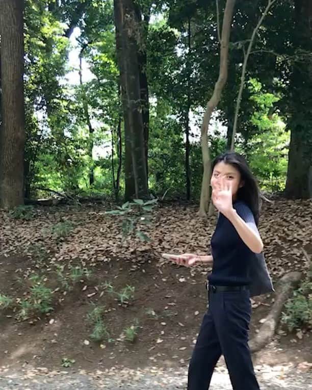 植草沙織のインスタグラム：「🌿🌿⛩🌿🌿🕊🌿🌿🚶‍♀️🌿🌞🌿🌿🌿 #明治神宮 #参道#散歩#東京観光#休日#dayoff」