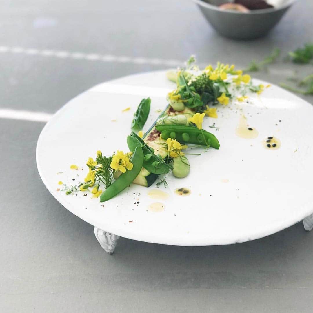 KANEBO OFFICIALさんのインスタグラム写真 - (KANEBO OFFICIALInstagram)「PLATE AS A CANVAS アートを描くように盛り付けて、華やかな食卓。 The art of plating. 写真提供:@yokocca #lifestyle #green #freshgreen #salad #breakfast #lunch #vegetables #flower #organicfood #healthyfood #beautiful #mylife #delicious #foodstagram  #ライフスタイル #ズッキーニ #サラダ #グリーン #クッキングラム #ヘルシー #ビーガン #自然 #野菜 #料理 #手作り #丁寧な暮らし #デリスタグラマー #おうちごはん  #kaneboglobal #kanebo」6月19日 17時30分 - kaneboofficial