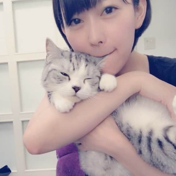 のインスタグラム：「愛ピョン(愛猫)を愛でる時人はこんなにも愚かになる。 あとはまちは抱っこが嫌いだし、耳をはむはむされるのが大好き😘  おはようございます。 お仕事行ってらっしゃいませー😀  #西野はまち #スコティッシュフォールド  #ねこ #cat」
