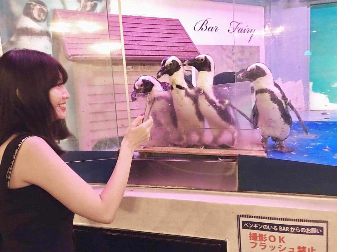 小嶋陽菜さんのインスタグラム写真 - (小嶋陽菜Instagram)「沖縄でペンギンBARに行った思い出🐧」6月19日 12時34分 - nyanchan22