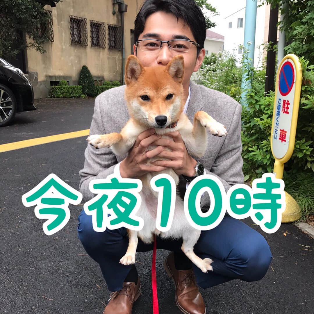TBS「あなたのことはそれほど」のインスタグラム