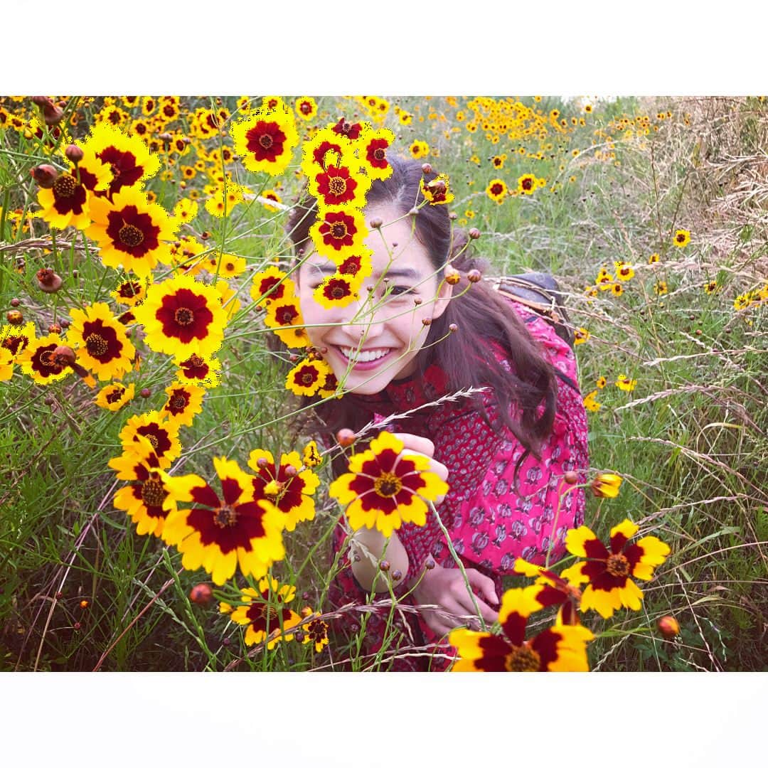 新木優子さんのインスタグラム写真 - (新木優子Instagram)「😆🌼」6月20日 21時11分 - yuuuuukko_