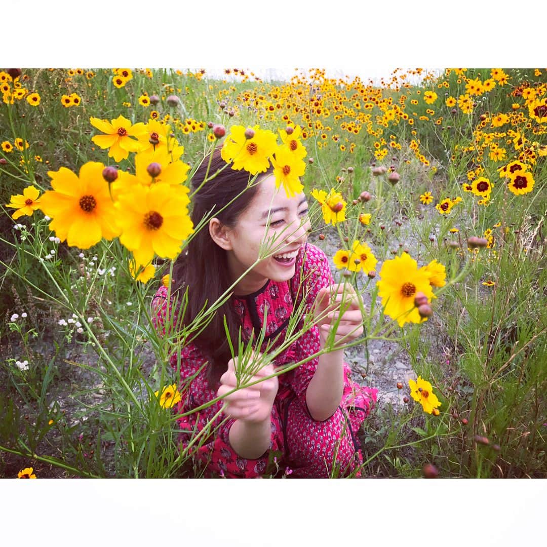 新木優子さんのインスタグラム写真 - (新木優子Instagram)「😆🌼」6月20日 21時11分 - yuuuuukko_